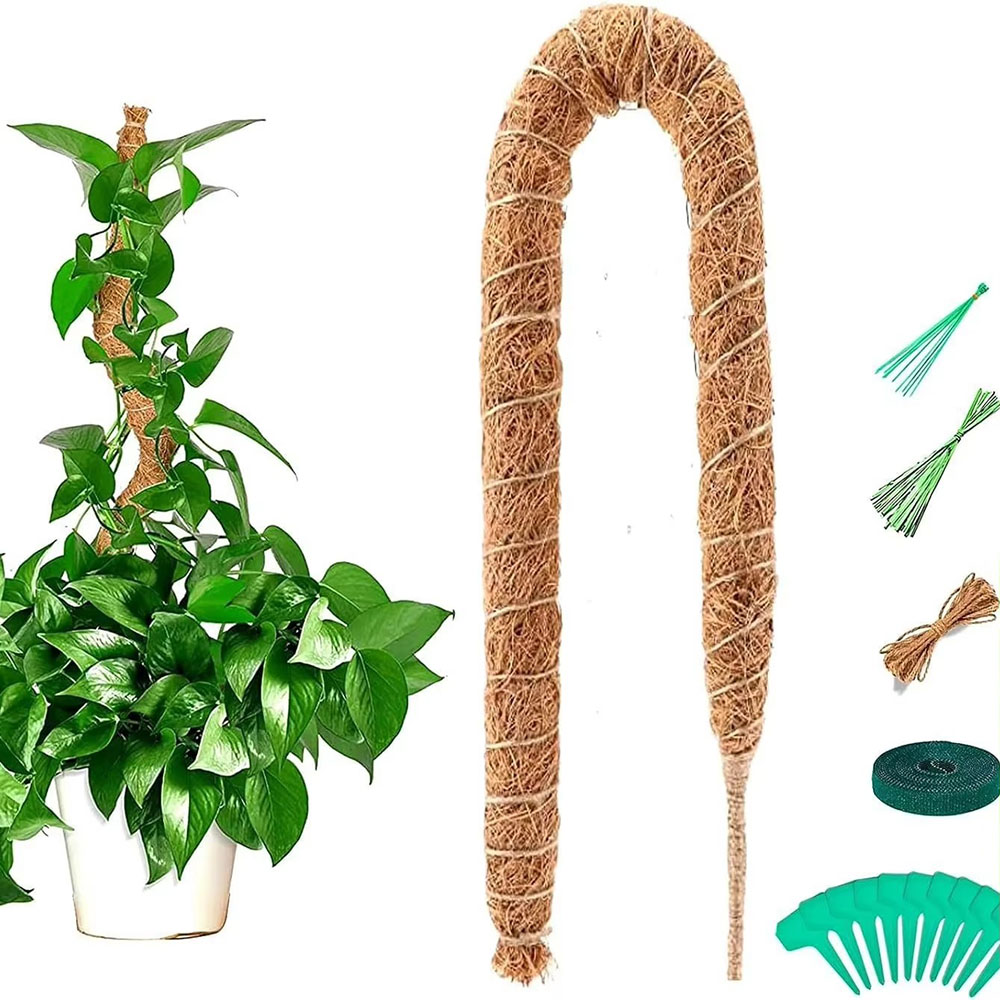 Pothos - Bâton de support pour plantes grimpantes