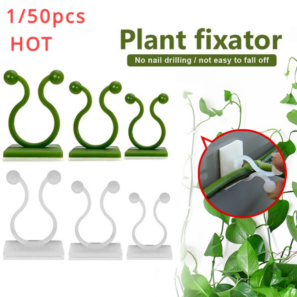 Plant Support Stake - 1/30/50 pièces pour accessoires de jardin