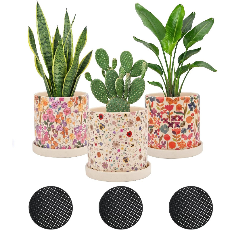 Snake Plant Ceramic - 3 pots en céramique à motifs