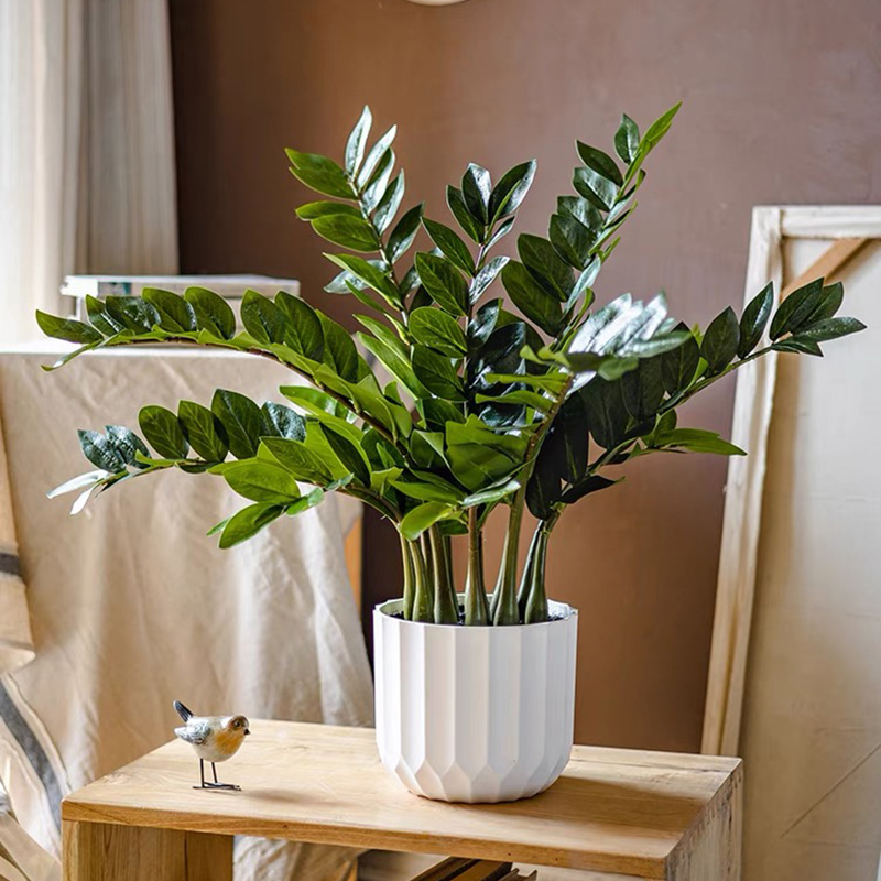Snake Plant - Grandes Plantes de Ficus Artificielles Tropicales,