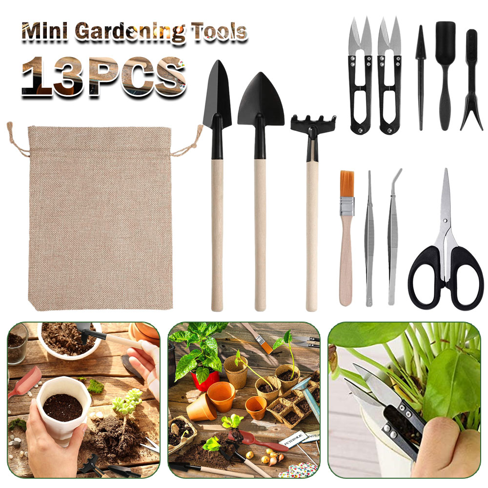 Succulent Set - Outils pour plantes succulentes, Mini outils