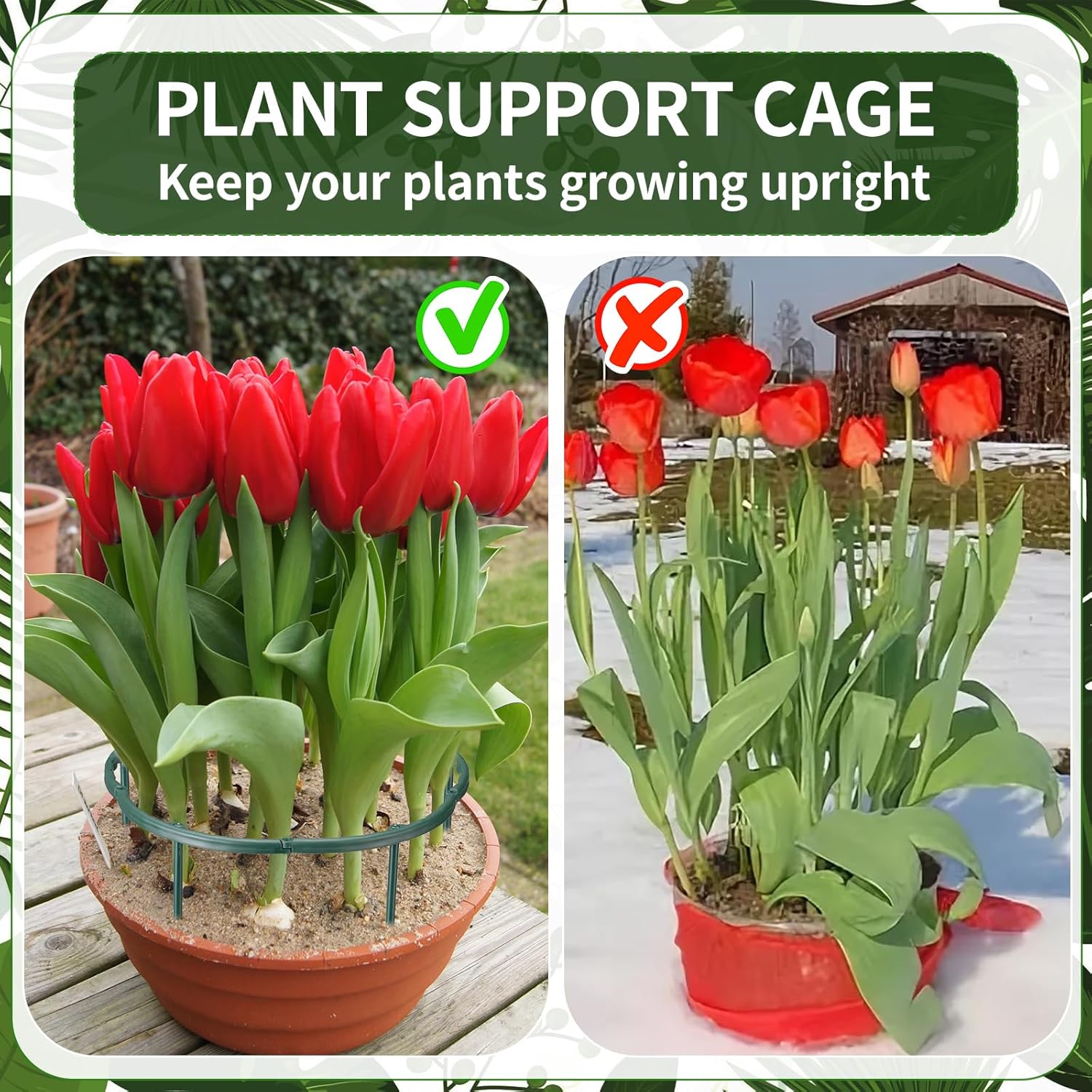 1/16 pièces Piquet de support  - Plant Support Stake avis et prix