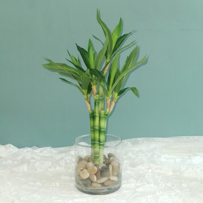 Nouvelle plante artificielle B - Succulent Set avis et prix