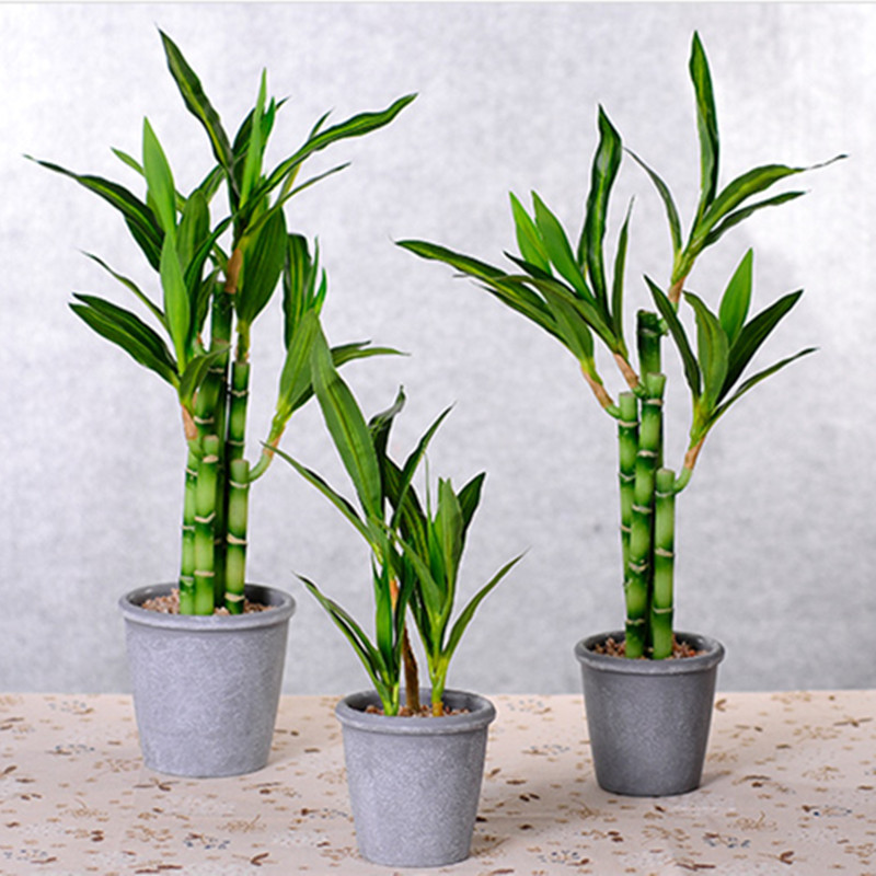 Nouvelle plante artificielle B - Succulent Set avis et prix