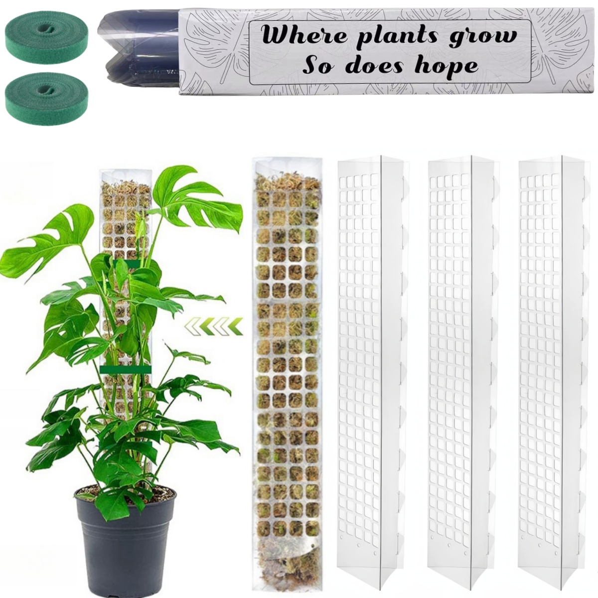 Support de plantes en plastiqu - Plant Support Stake avis et prix