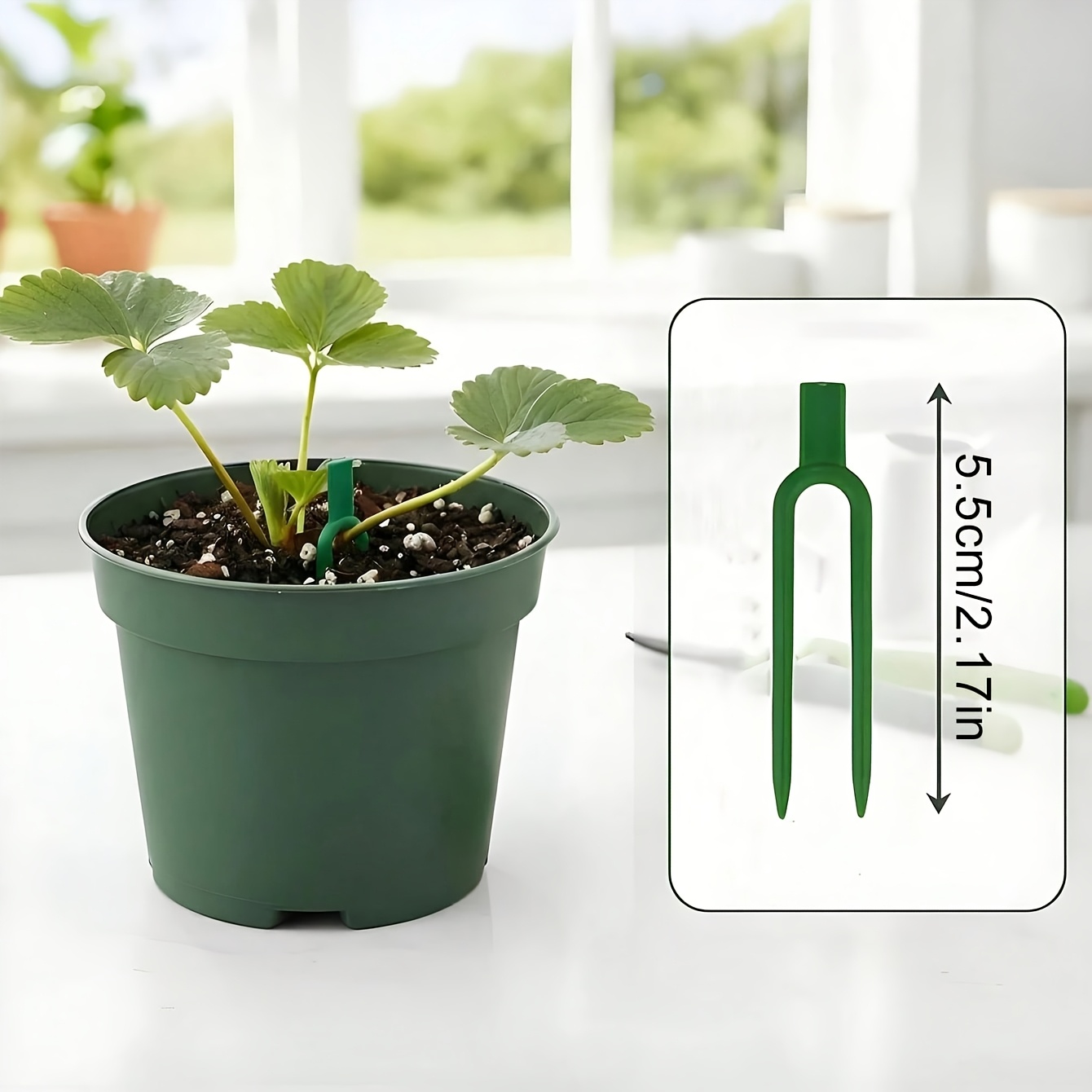 30/20/5 pièces Supports de jar - Plant Support Stake avis et prix