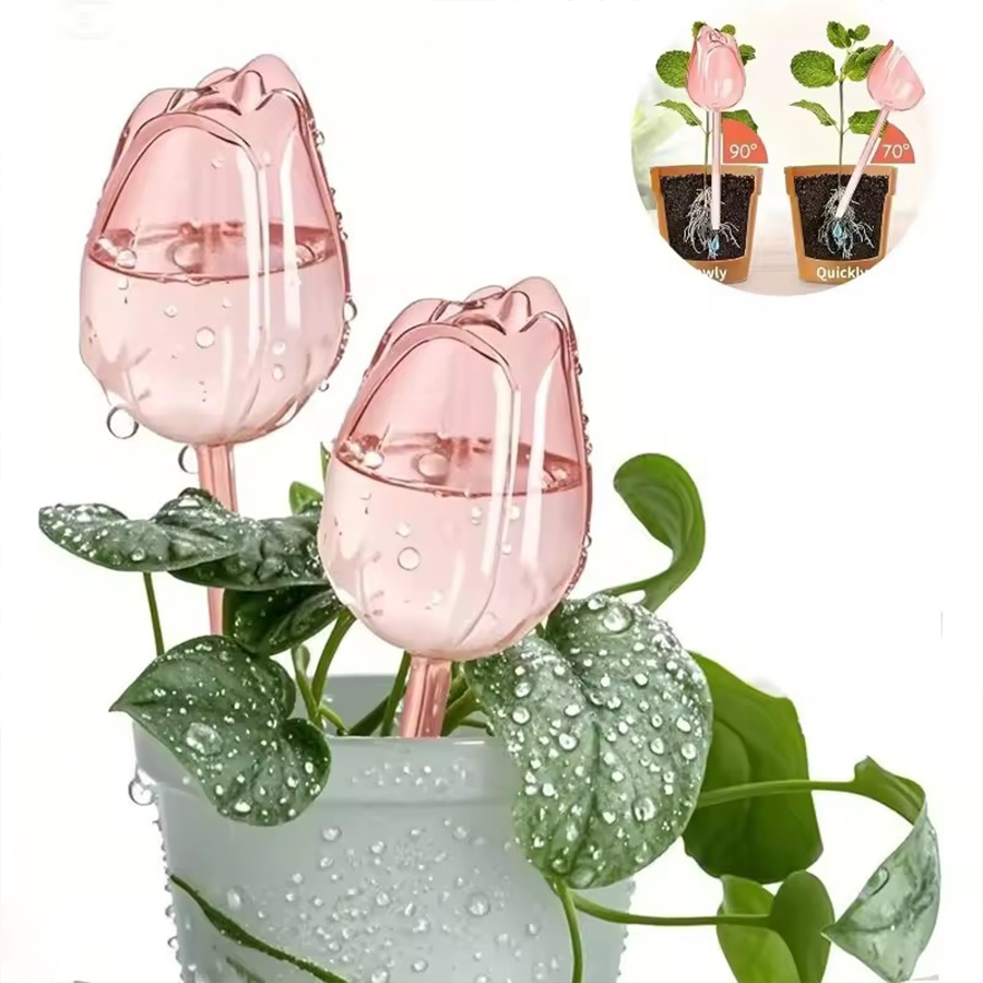 Pique d'arrosage transparente  - Pothos avis et prix