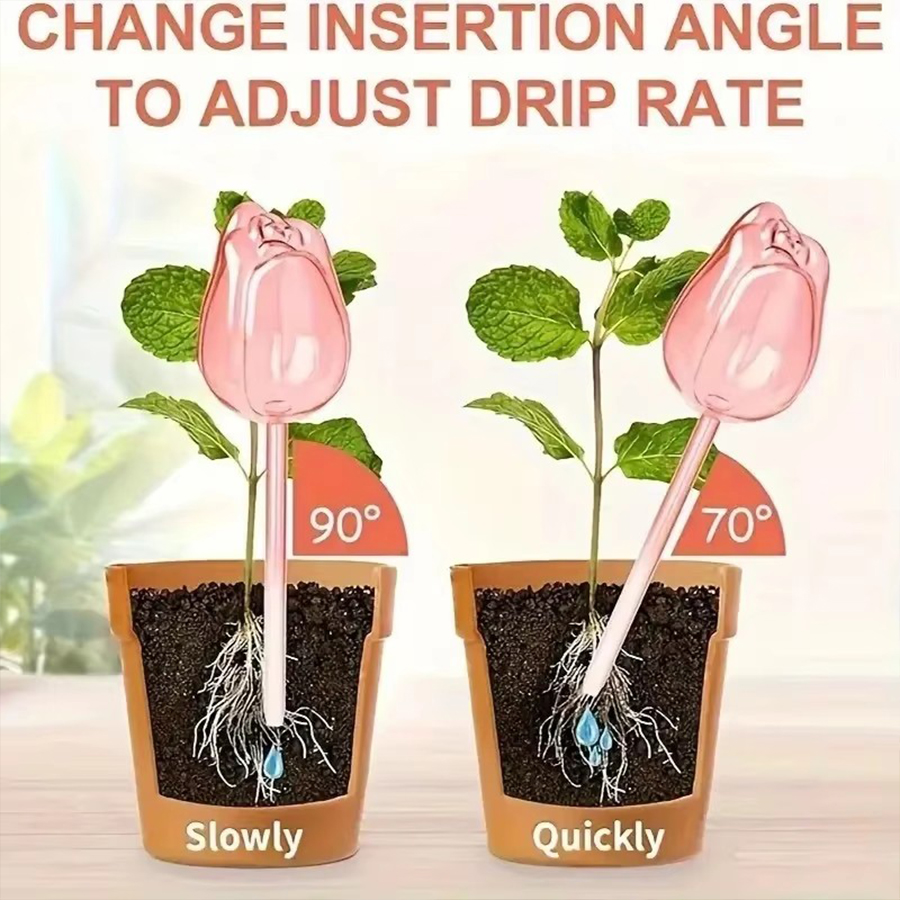 Pique d'arrosage transparente  - Pothos avis et prix