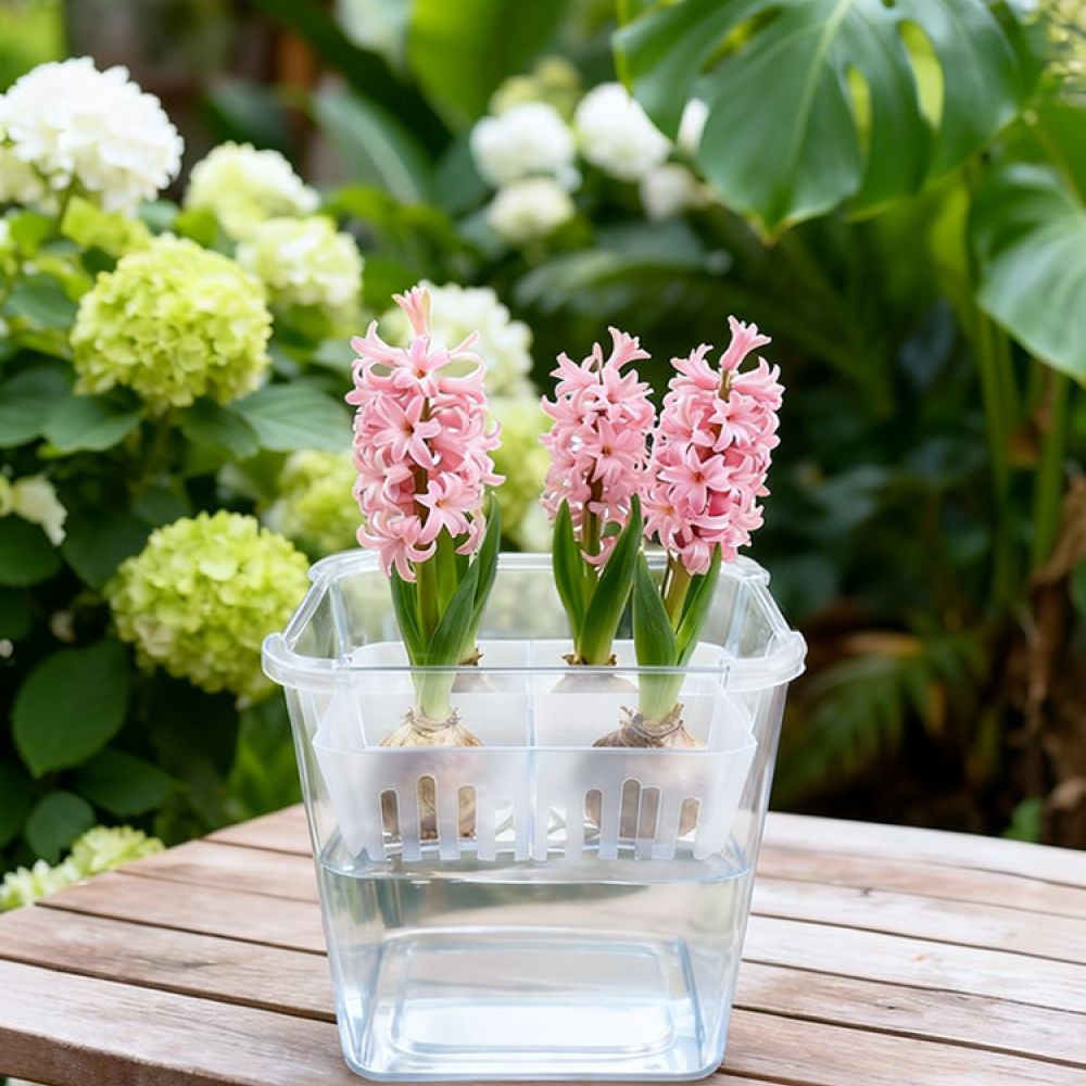 Vase hydroponique pour tulipes - Indoor Plants avis et prix