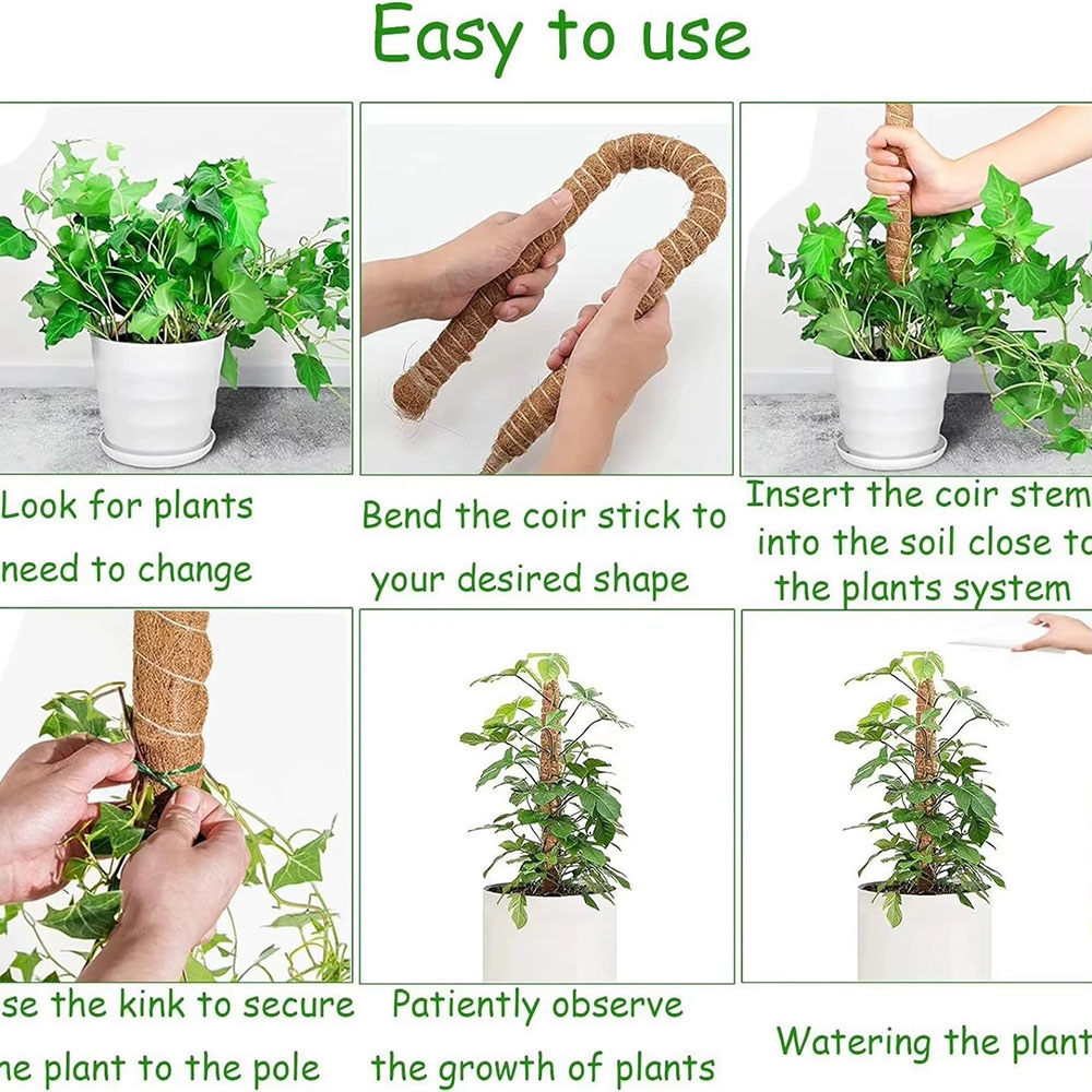 Bâton de support pour plantes  - Pothos avis et prix