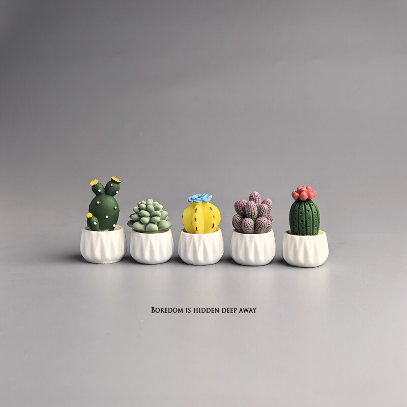 Cactus et succulentes en pot,  - Succulent Set avis et prix