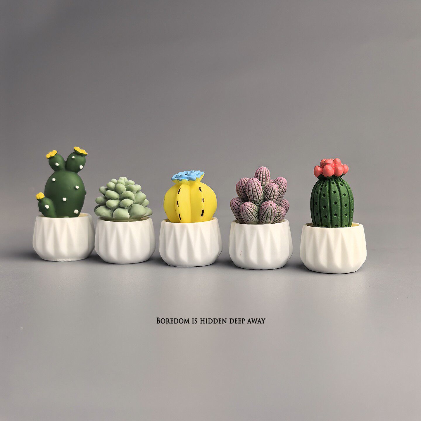 Cactus et succulentes en pot,  - Succulent Set avis et prix
