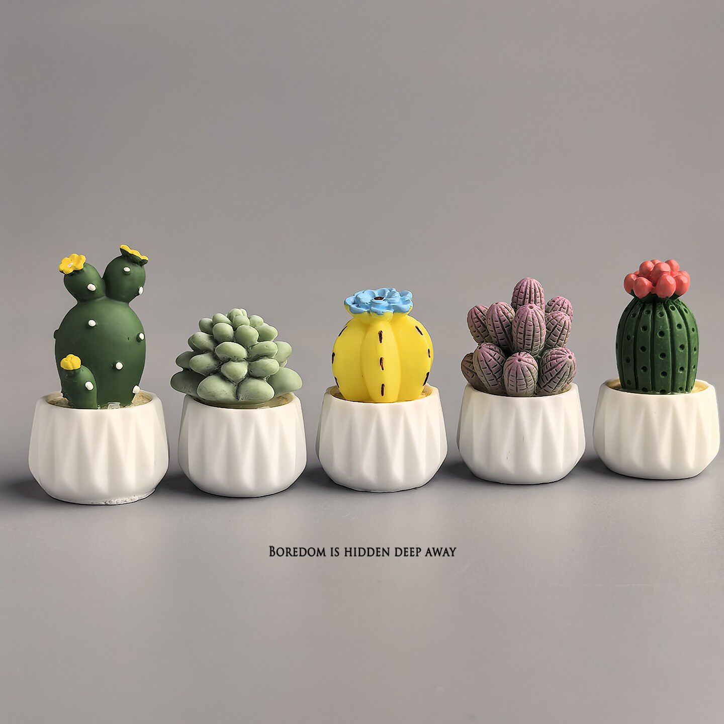 Cactus et succulentes en pot,  - Succulent Set avis et prix