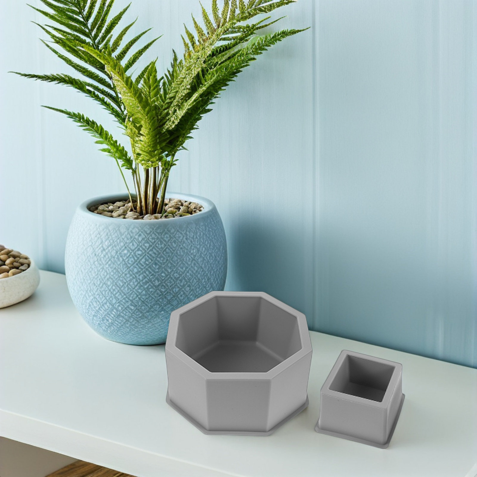 Ensemble de 2 moules en silico - Succulent Set avis et prix