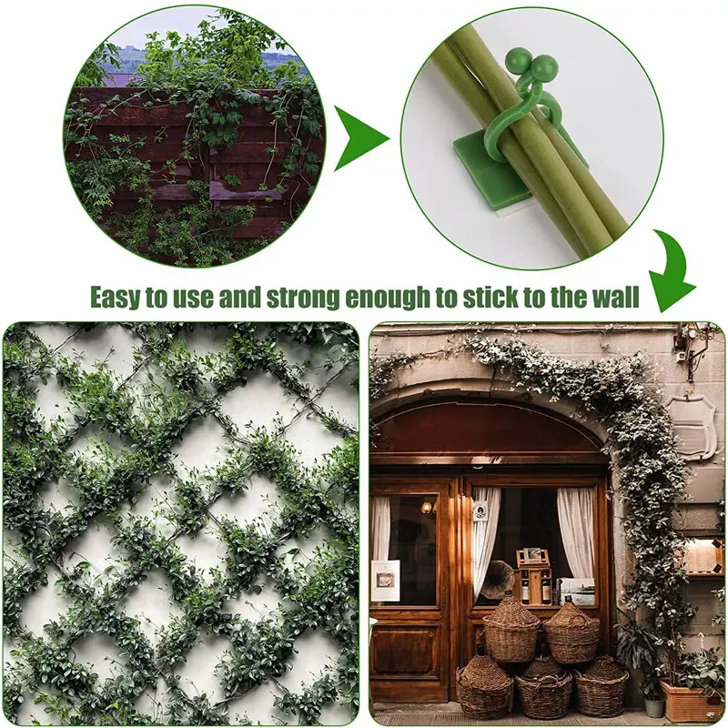 1/30/50 pièces pour accessoire - Plant Support Stake avis et prix