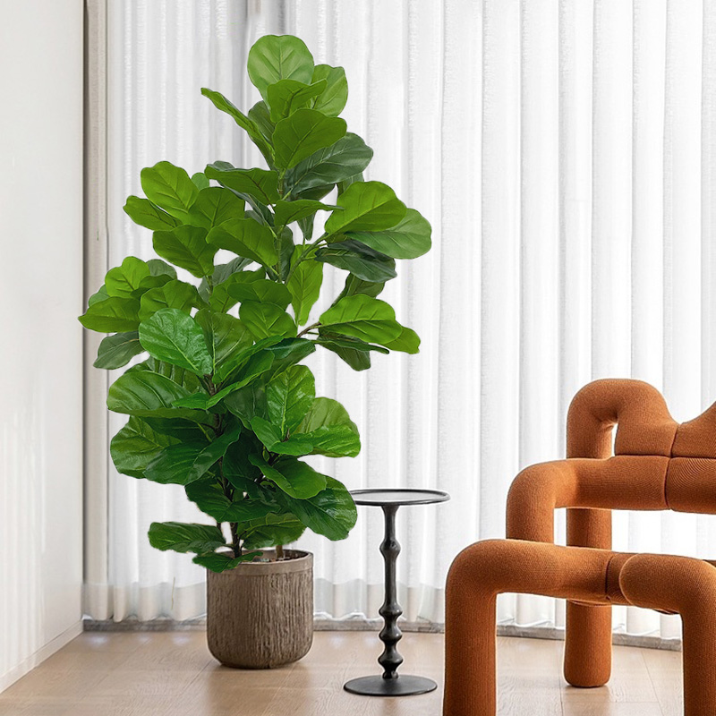 Ficus Él23 rivières, fausses p - Fiddle Leaf Fig avis et prix