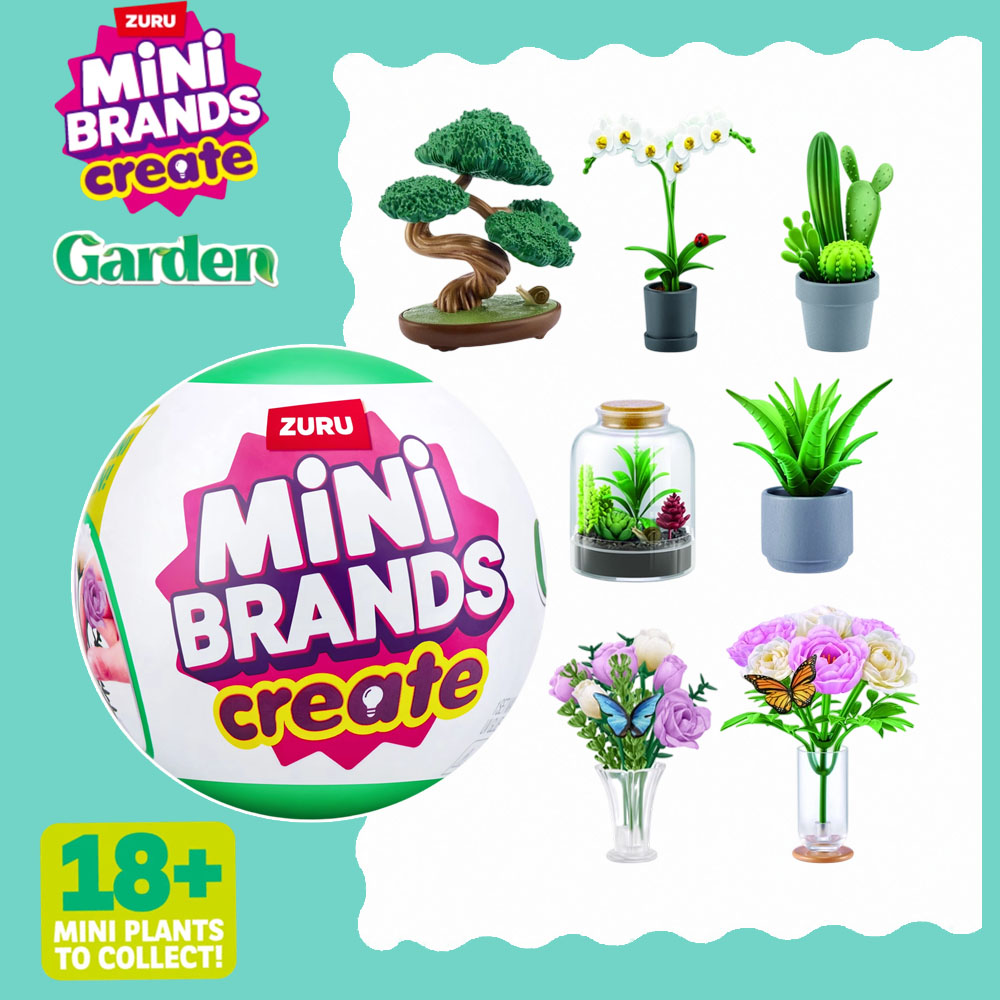 Jardin miniature Zuru, boîte m - Succulent Set avis et prix