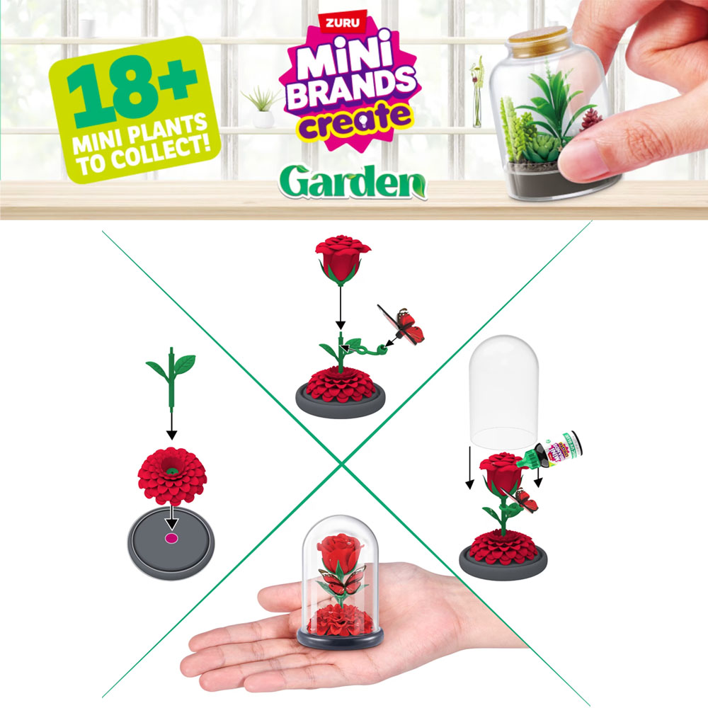 Jardin miniature Zuru, boîte m - Succulent Set avis et prix