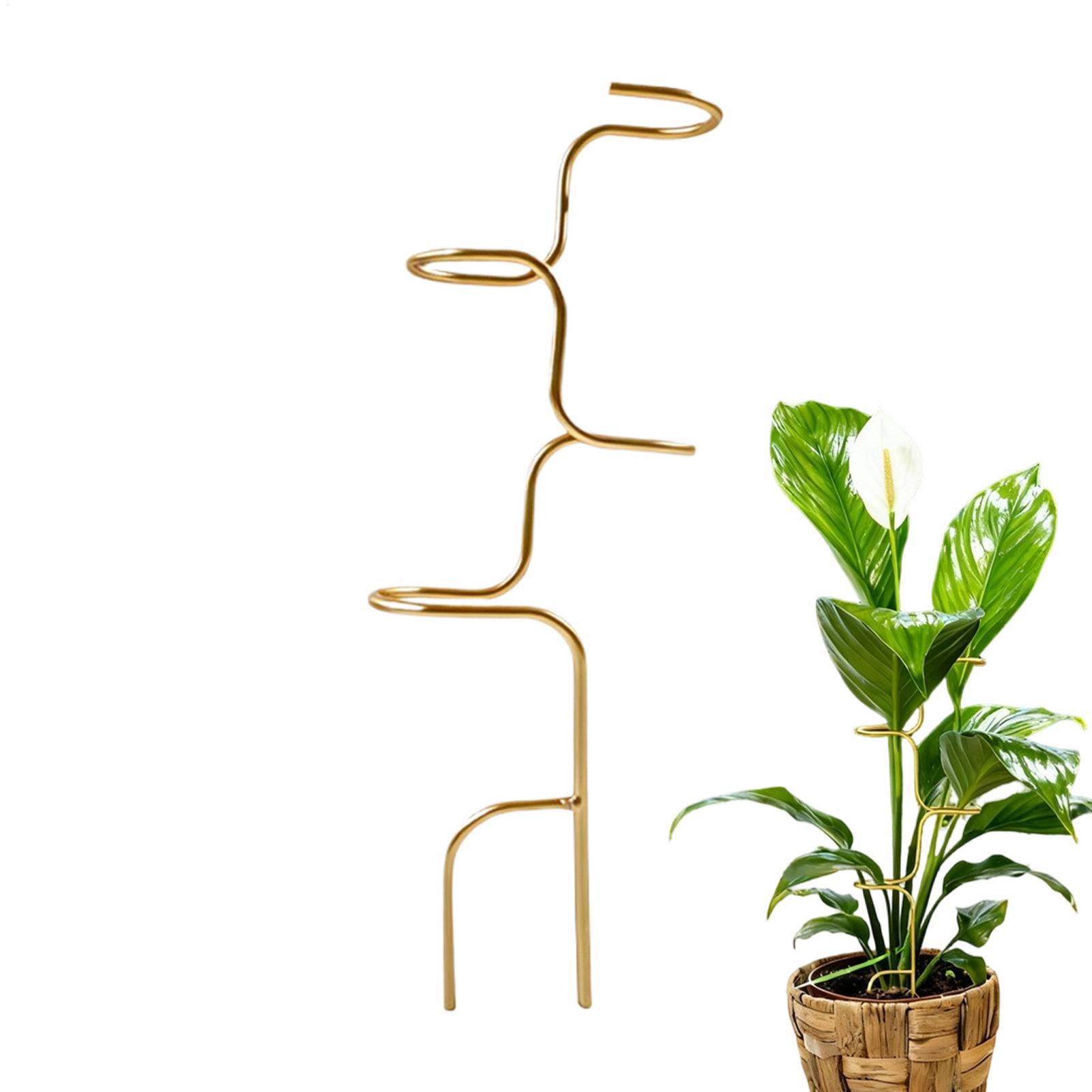 Support de fixation pour tiges - Plant Support Stake avis et prix