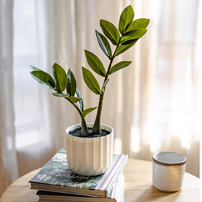 Grandes Plantes de Ficus Artif - Snake Plant avis et prix