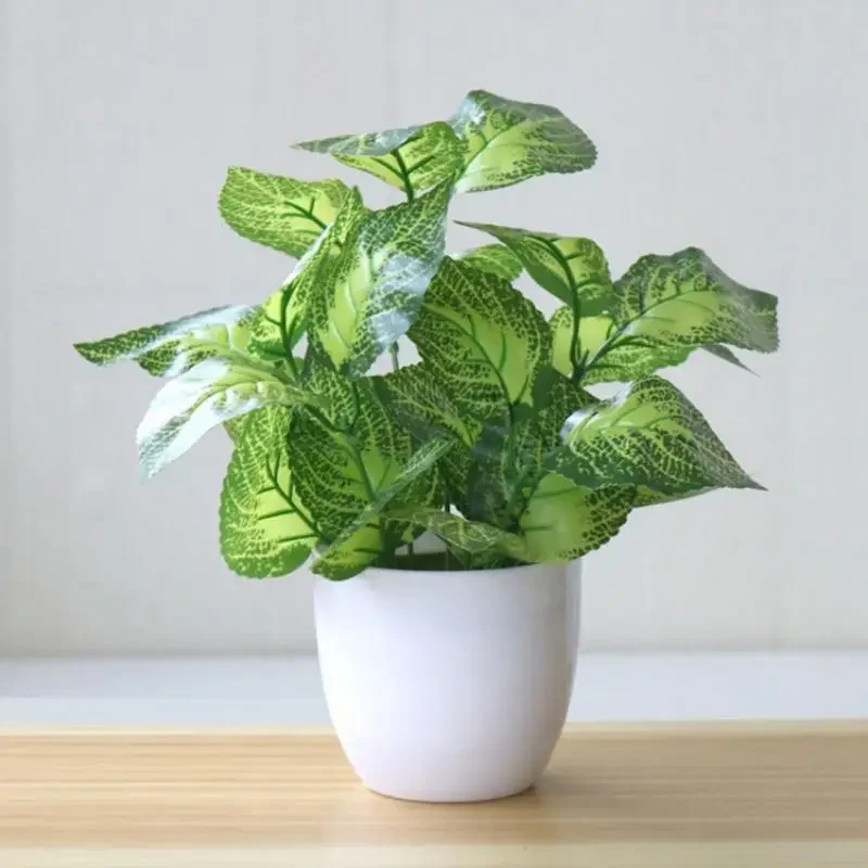 Plantes artificielles, bonsaïs - Snake Plant avis et prix