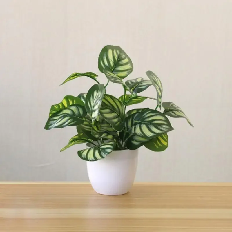 Plantes artificielles, bonsaïs - Snake Plant avis et prix