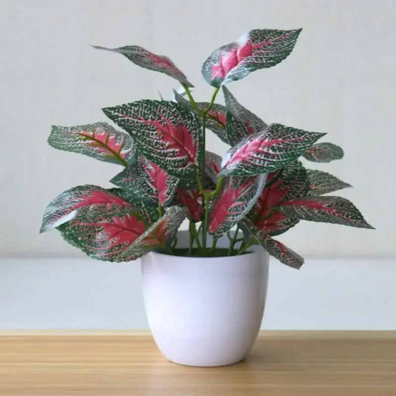 Plantes artificielles, bonsaïs - Snake Plant avis et prix