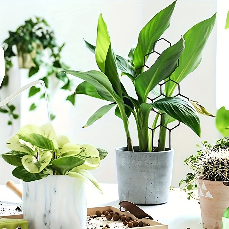 1 treillis pour plantes en for - Terracotta Pot avis et prix